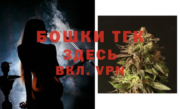 твердый Горняк