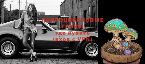 мяу мяу мука Горнозаводск
