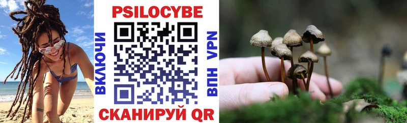 Псилоцибиновые грибы прущие грибы  где найти   Добрянка 