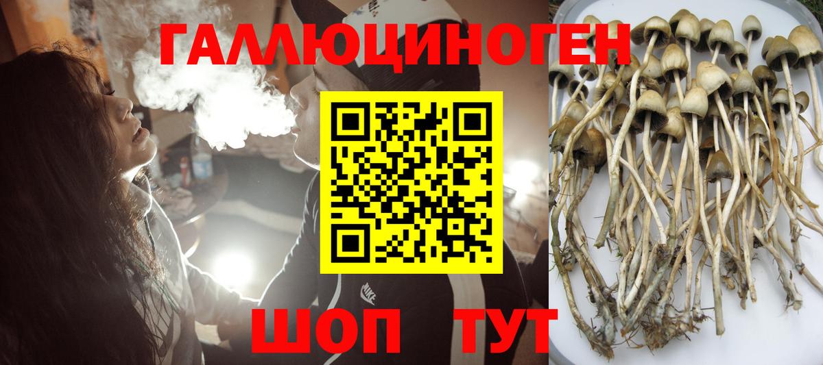 Добрянка  Галлюциногенные грибы Psilocybe  Вход с VPN 