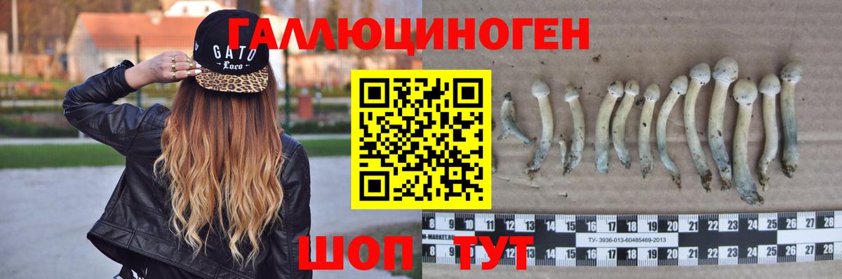 Галлюциногенные грибы GOLDEN TEACHER Добрянка